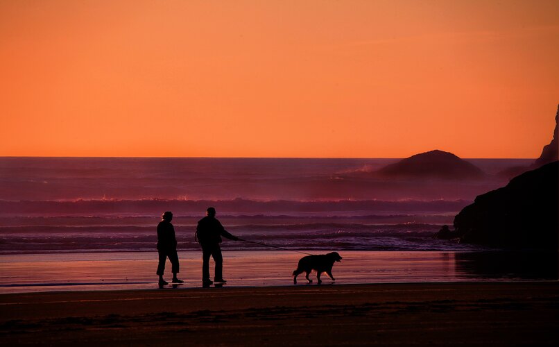 pareja de ancianos paseando a perro coonhound