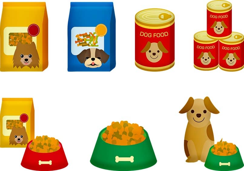 vista de envases con comida para perros