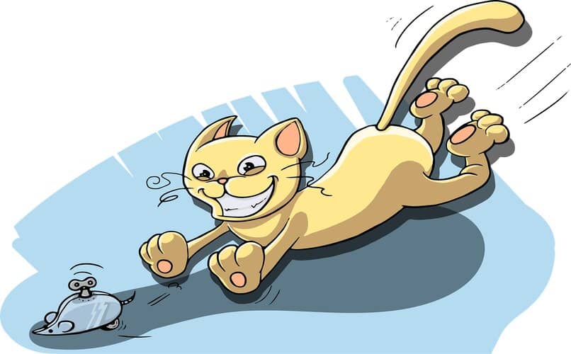 gato persiguiendo raton de juguete