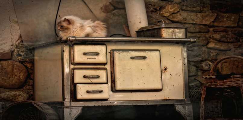 gato sobre estufa vintage