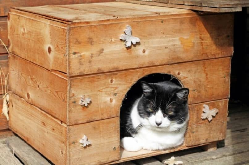 materiales para hacer una casa para gatos