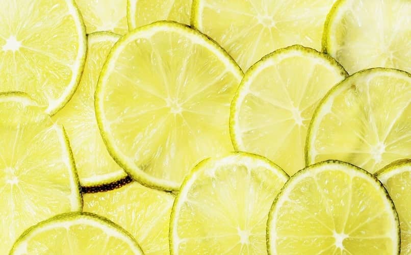 limon en rodaja para animales