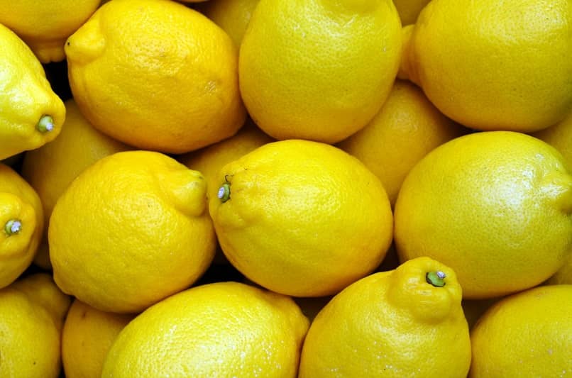 limones para calmar el celo en los canarios