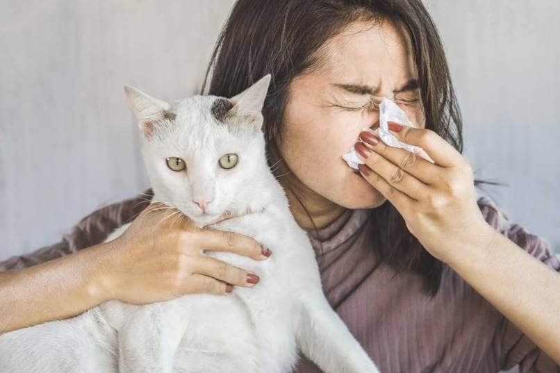mujer con alergia por dormir con gato