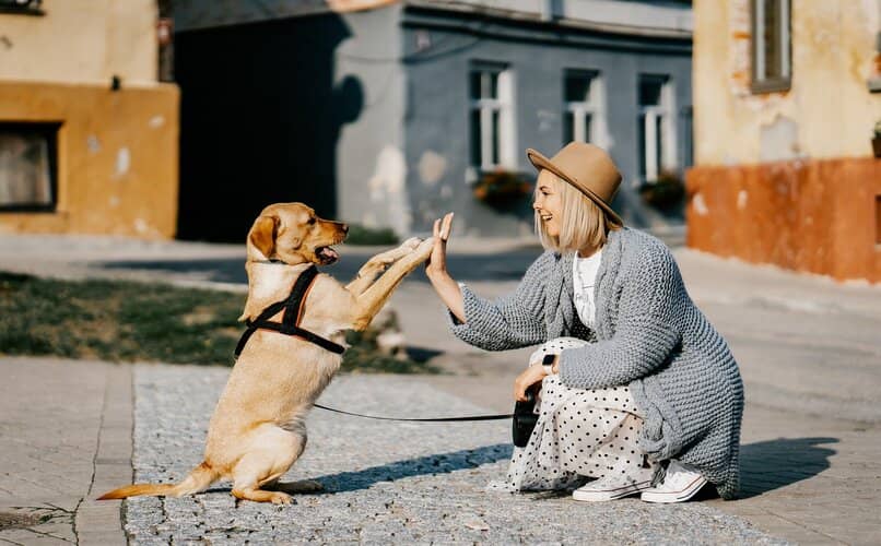 mujer saludando a su mascota canina