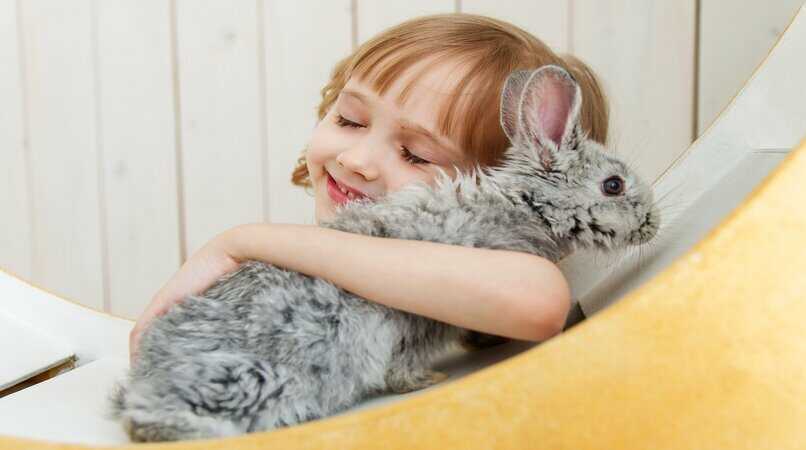 conejo abrazado por una niña