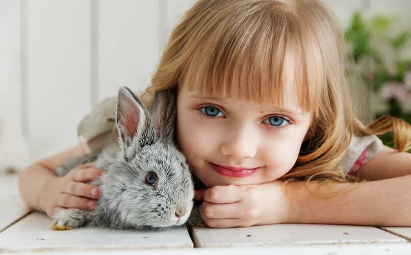 nina pequena cuidando a un conejo