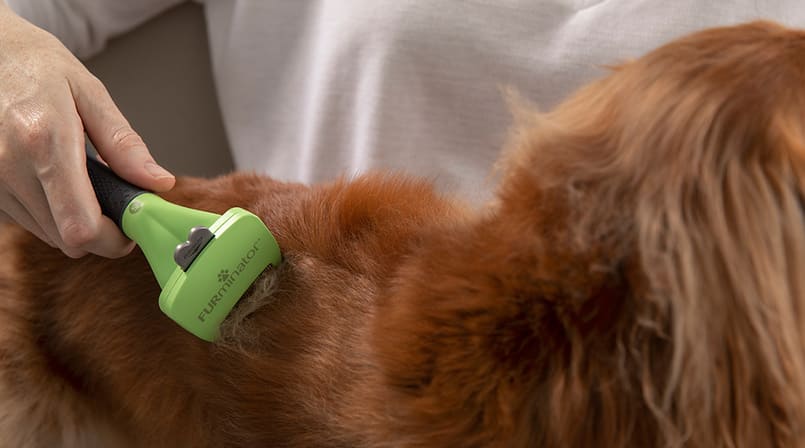 furminator ayuda a eliminar el pelo muerto de tu mascota