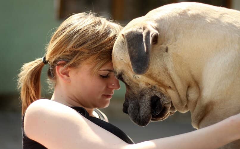 mujer abrazando a perro boerboel