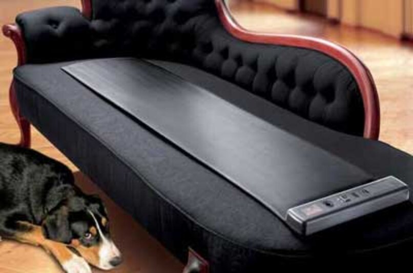 ¿Cómo Hacer para que tu Perro no se suba al sofá, Estés o no Estés en casa? Blog de Animales ¿Cómo Hacer para que tu Perro no se suba al sofá, Estés o no Estés en casa? Blog de Animales